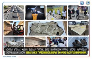 Хууль бусаар Монгол Улсын хилээр давуулсан үлэг гүрвэлийн ясыг 20 жилийн дараа эх оронд нь эгүүлэн авчирлаа